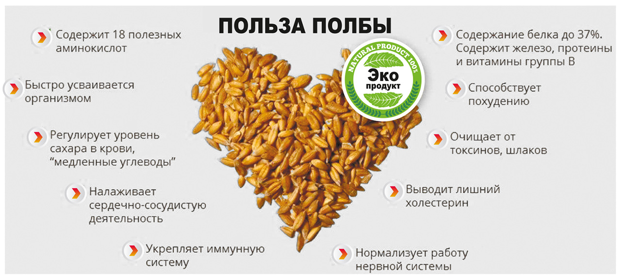 Польза полбы